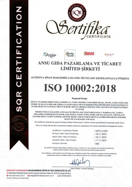 ISO 10002