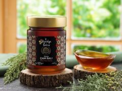 Antalya Reçelcisi Süzme Çam Balı 400g