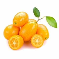 Antalya Reçelcisi Kamkat Tatlısı 390 Gr